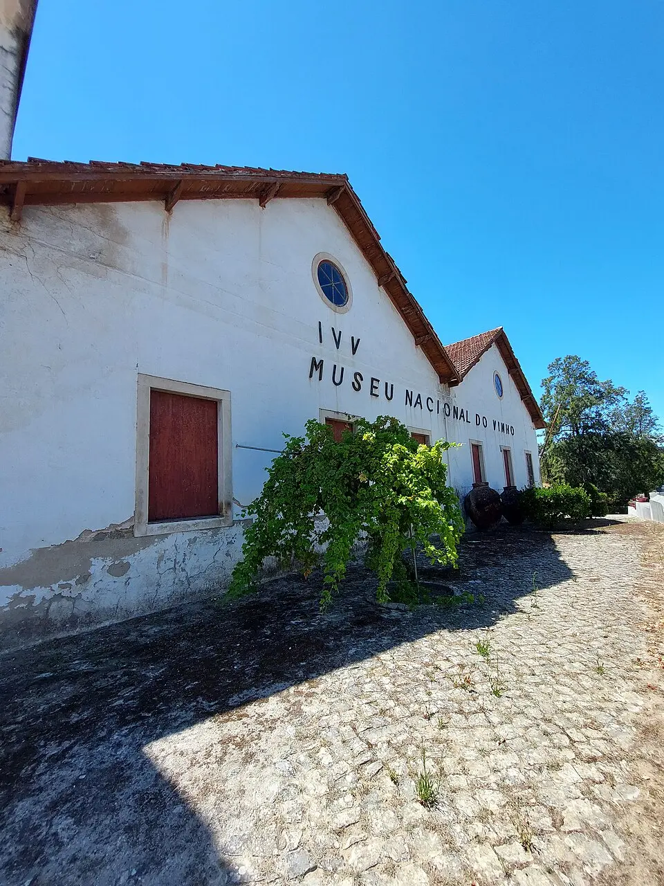 Adega em Alcobaça