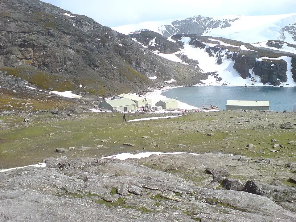 Scotia Sea Islands tundra