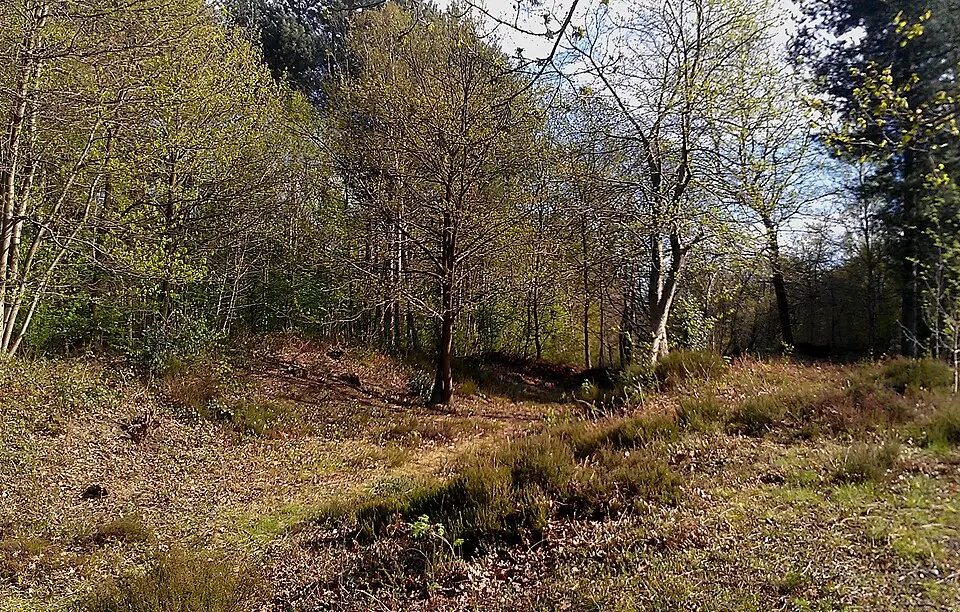 Faesten Dic, a medieval frontier work in Joydens Wood