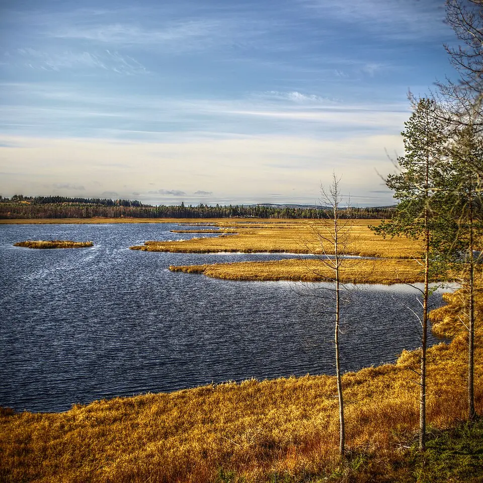 Vajsjön