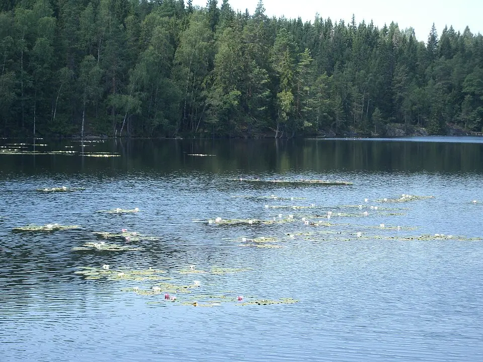 Fagertärn