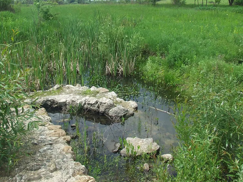 Cetatea medievală de la Făget