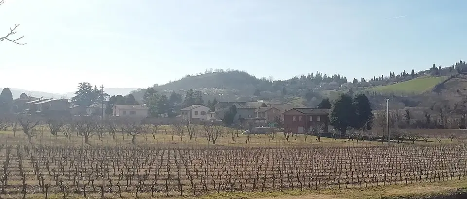 Fagnano