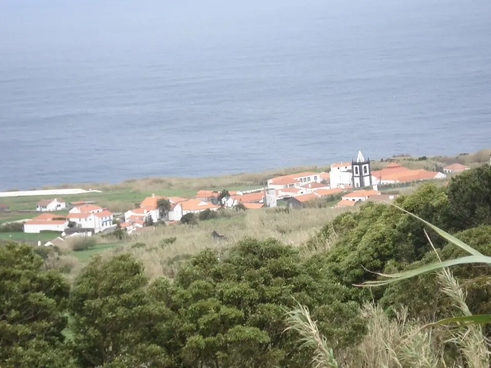 Cedros