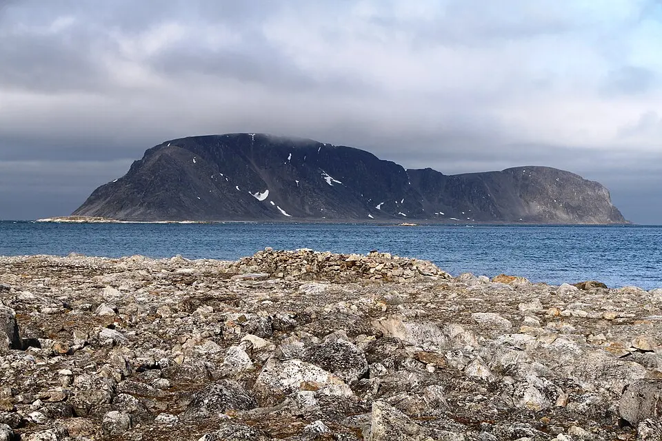 Fuglesongen