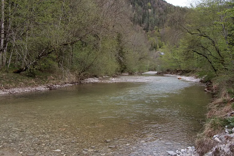 Taugl