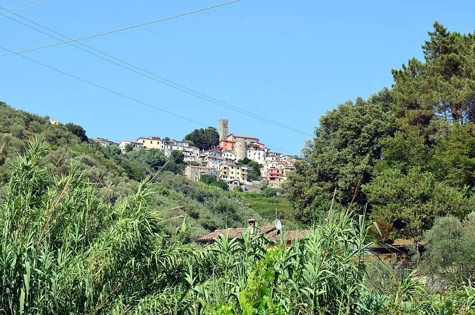 Falcinello