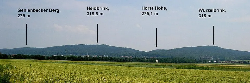 Heidbrink