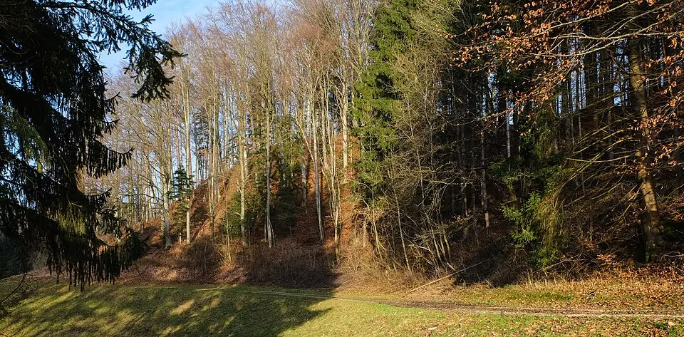 Burg Falkenhalden