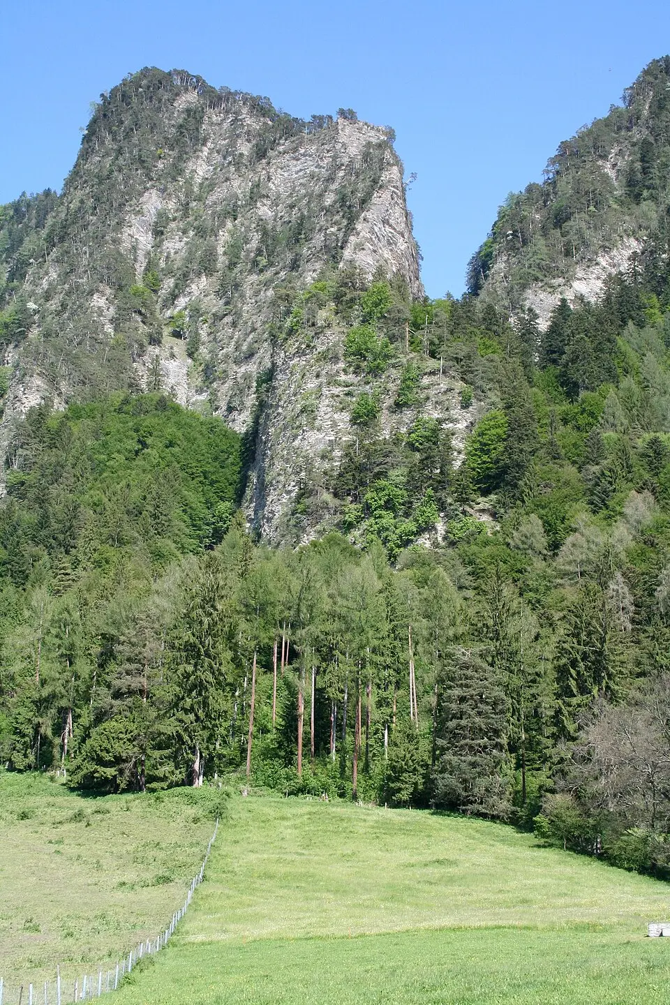 Bild: Adrian Michael · CC BY-SA 3.0 Burg Falkenstein Igis