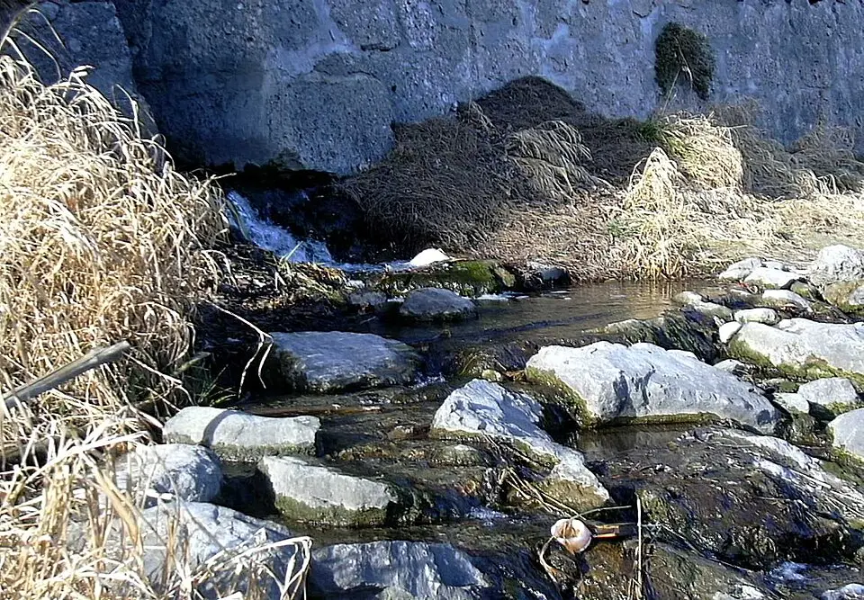 Fallbach