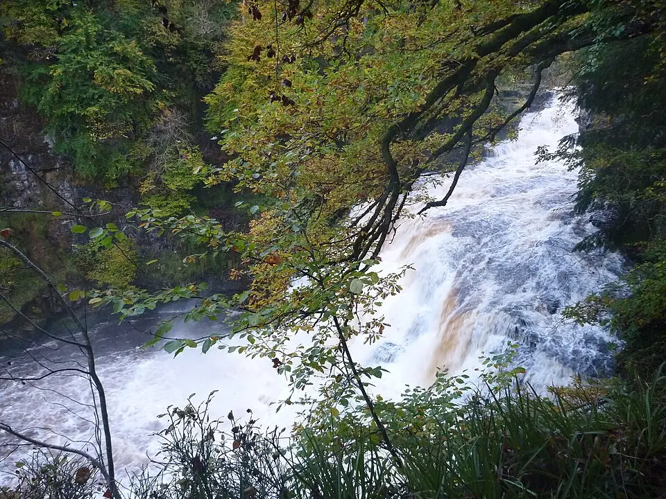 Corra Linn