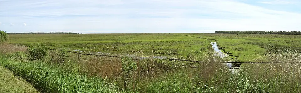 Skanörs Ljung Nature Reserve