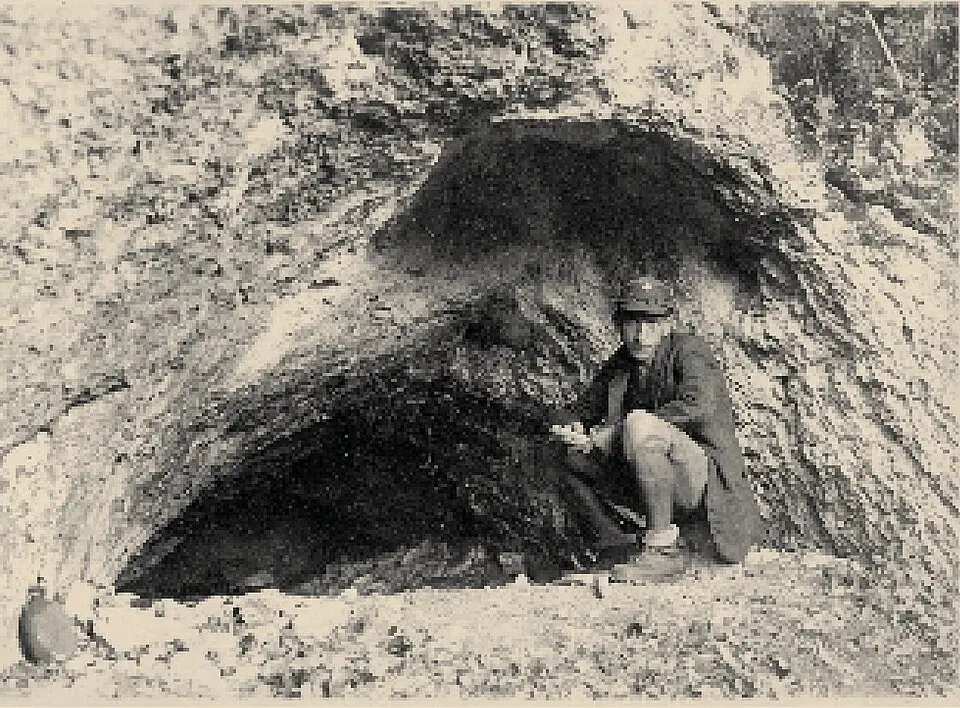 Farkas-kő Cave