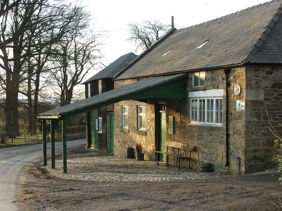 Pigdon