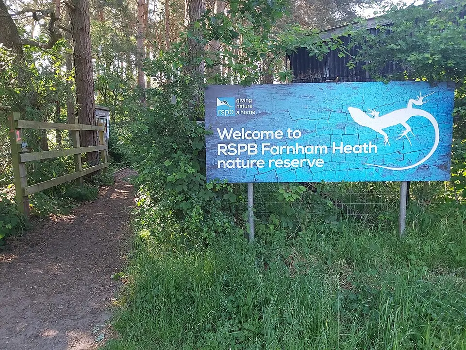 Farnham Heath