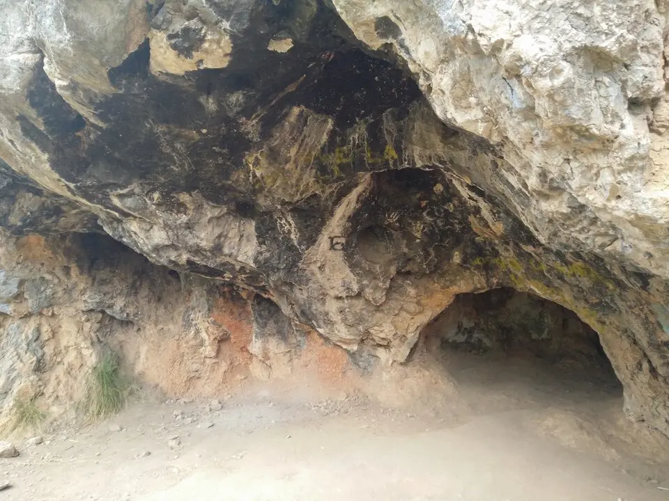 Cova Negra