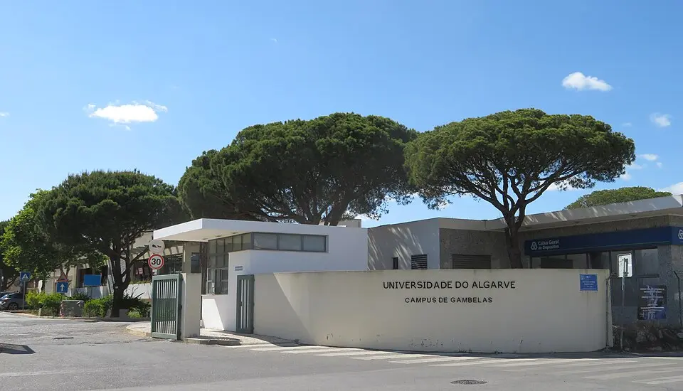 University of Algarve
