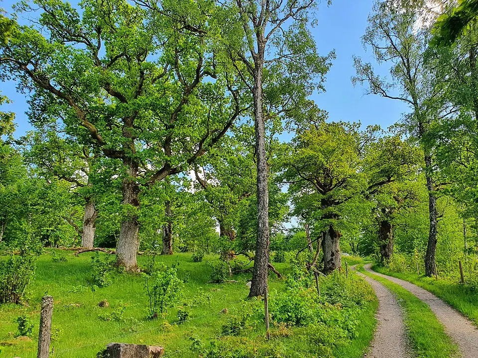 Brunnstorp