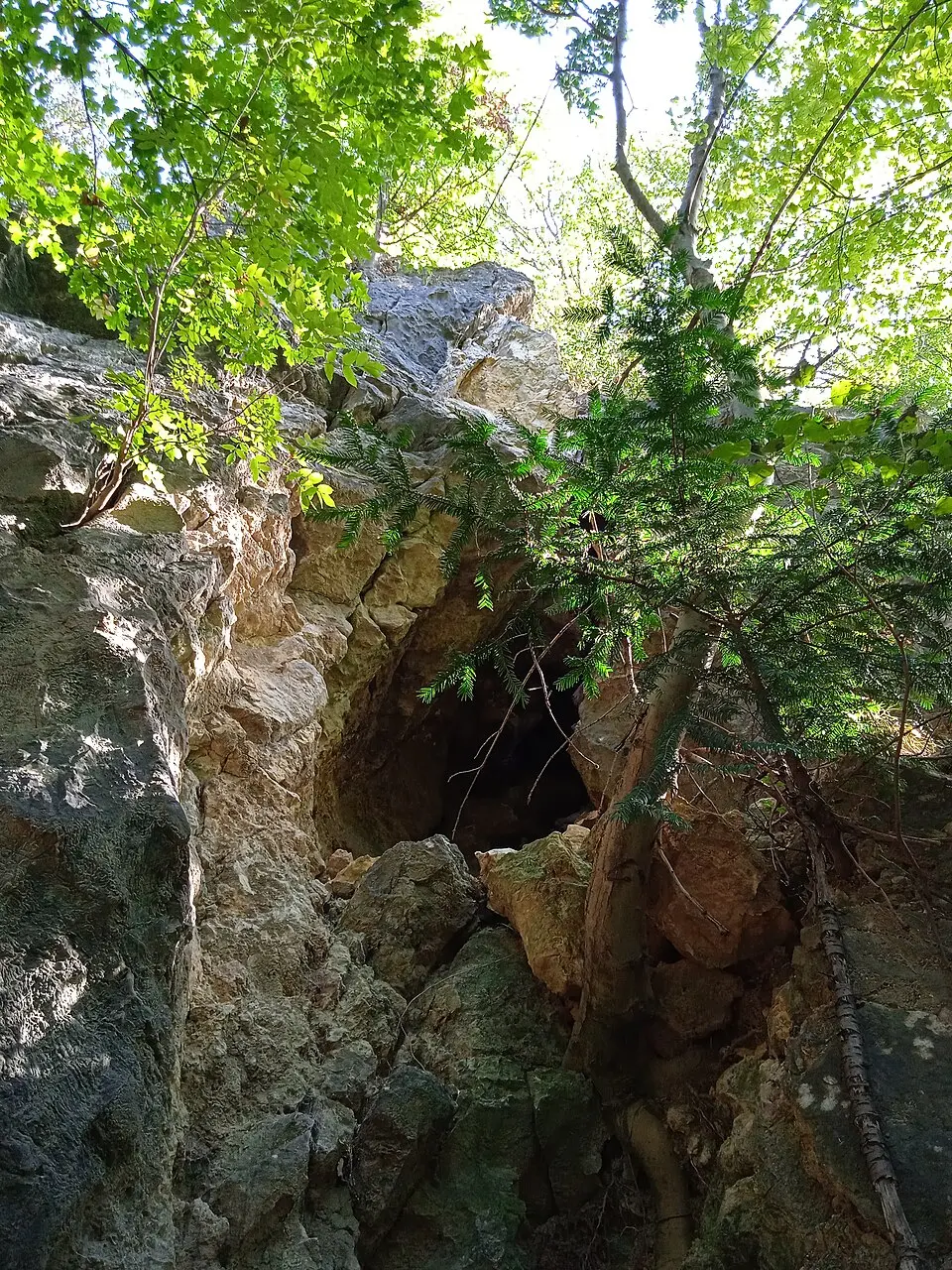 Fazekas-hegyi Felső-barlang