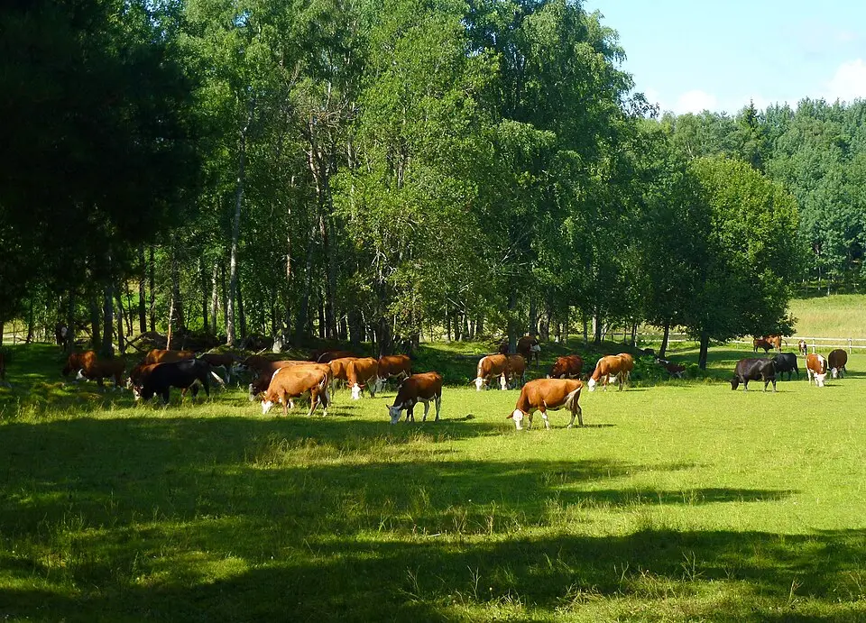 Östra Järvafältets naturreservat