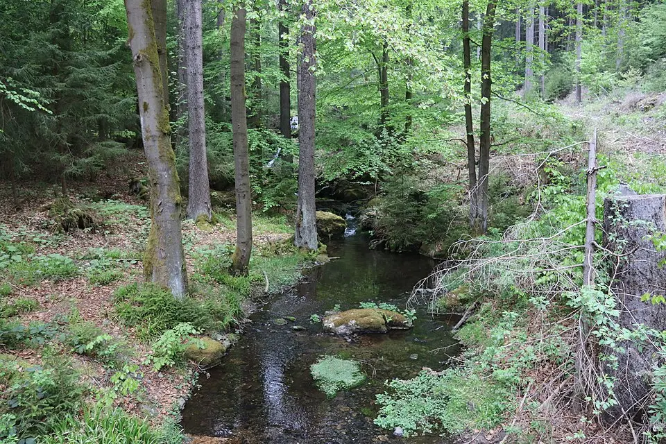 Fällbach