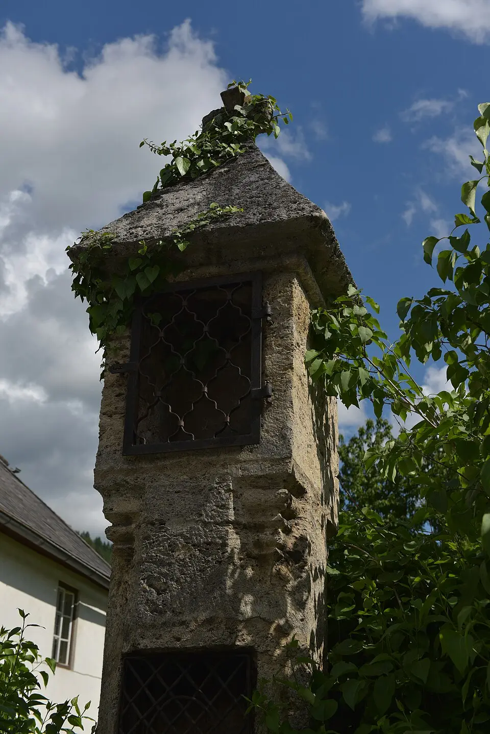 Färberkreuz