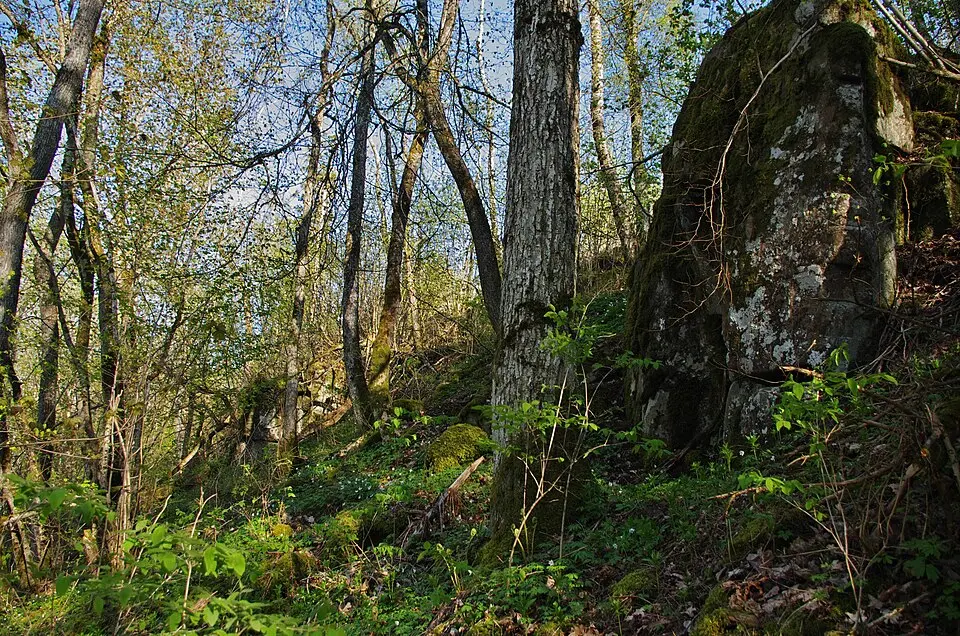 Fårdala