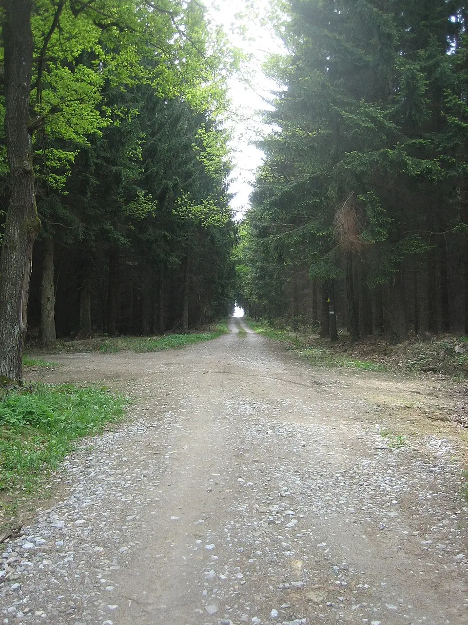Ehemalige Fürnberg’sche Poststraße (Abschnitt in der KG Aich)