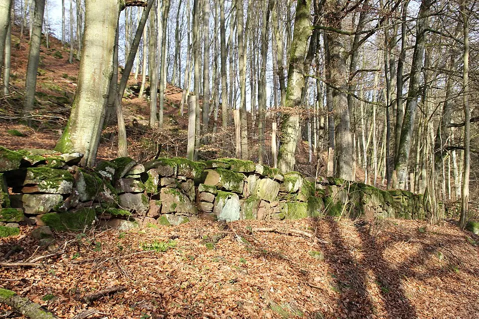 Kép: Freak-Line-Community · CC BY-SA 3.0 Fürstlich Löwensteinscher Park