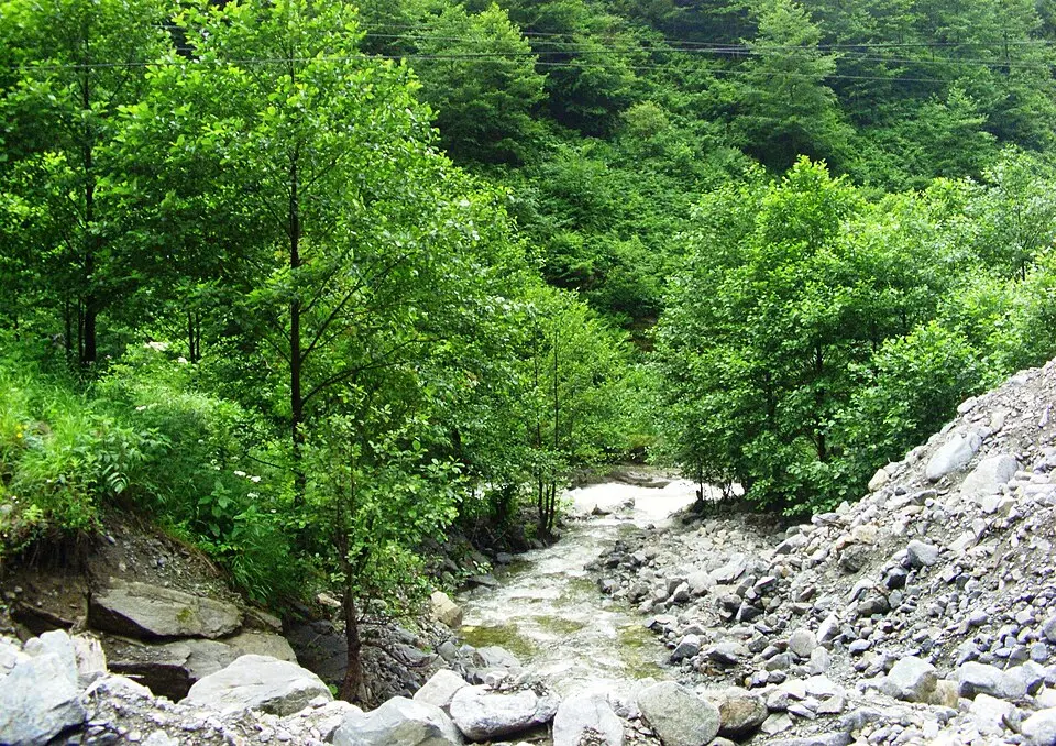 Fırtına Deresi