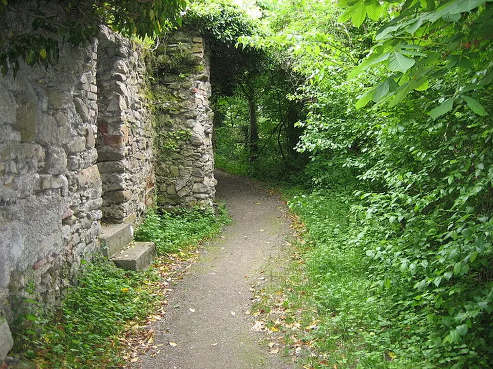 Marktbefestigung