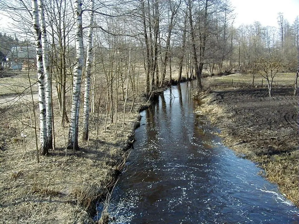 Feimanka
