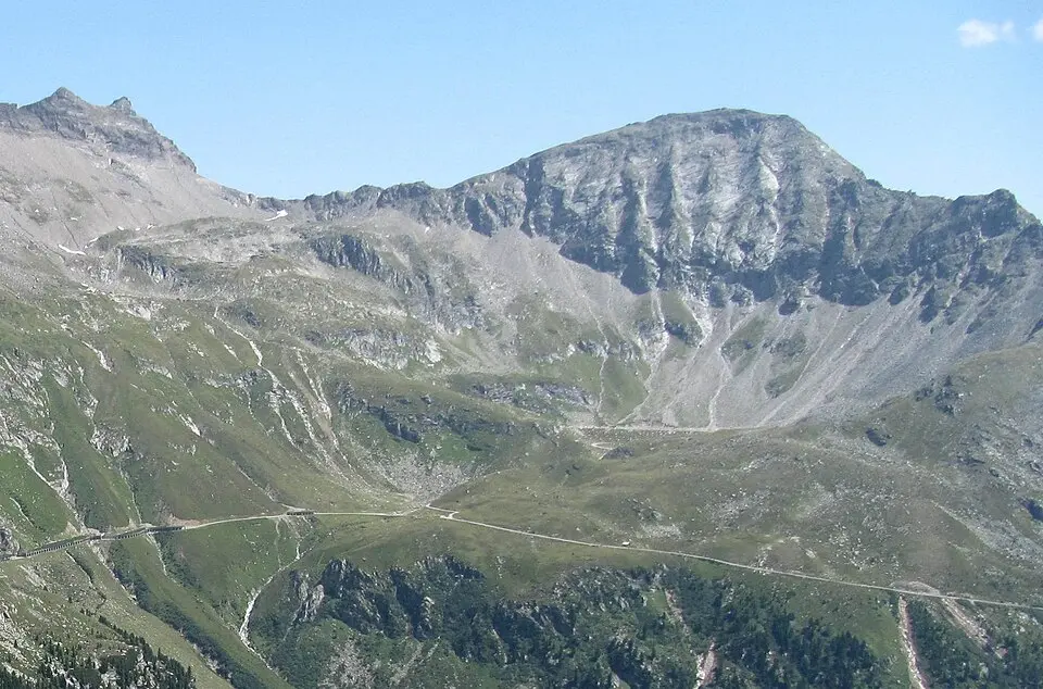 Feldseekopf