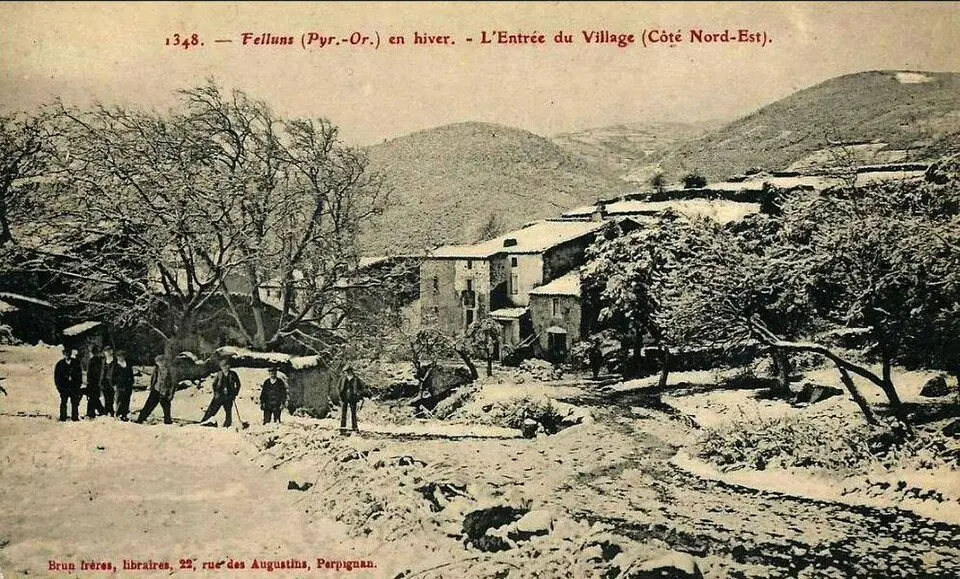 Feilluns
