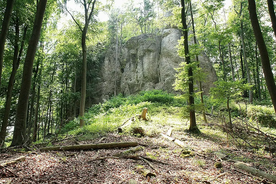 Burgruine Riegelstein