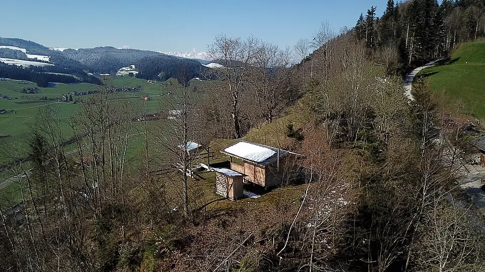Burg Neu-Signau