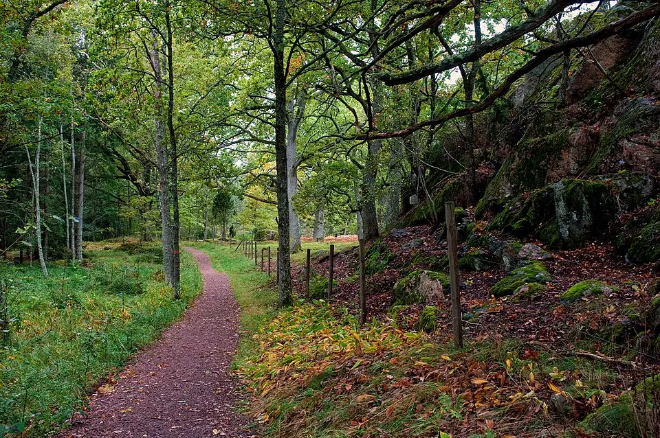 Femöre naturreservat