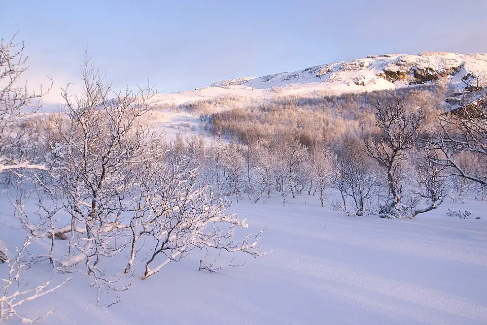 Femundsmarka nasjonalpark