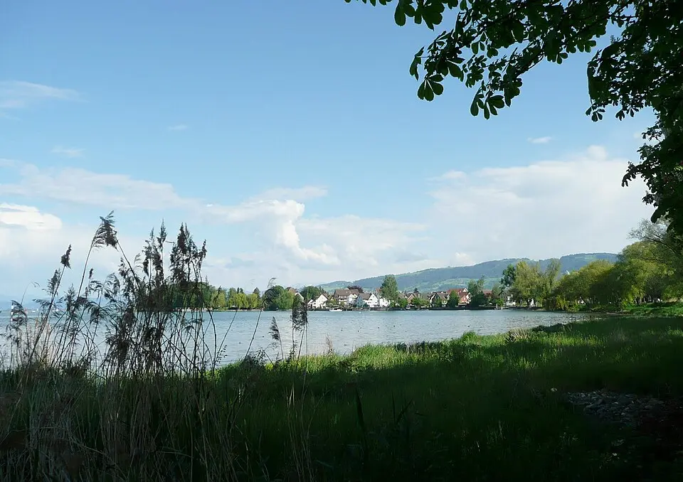 Steinach