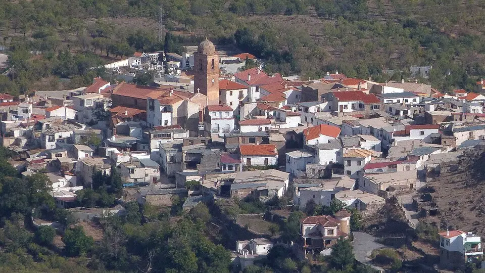 Ferreira