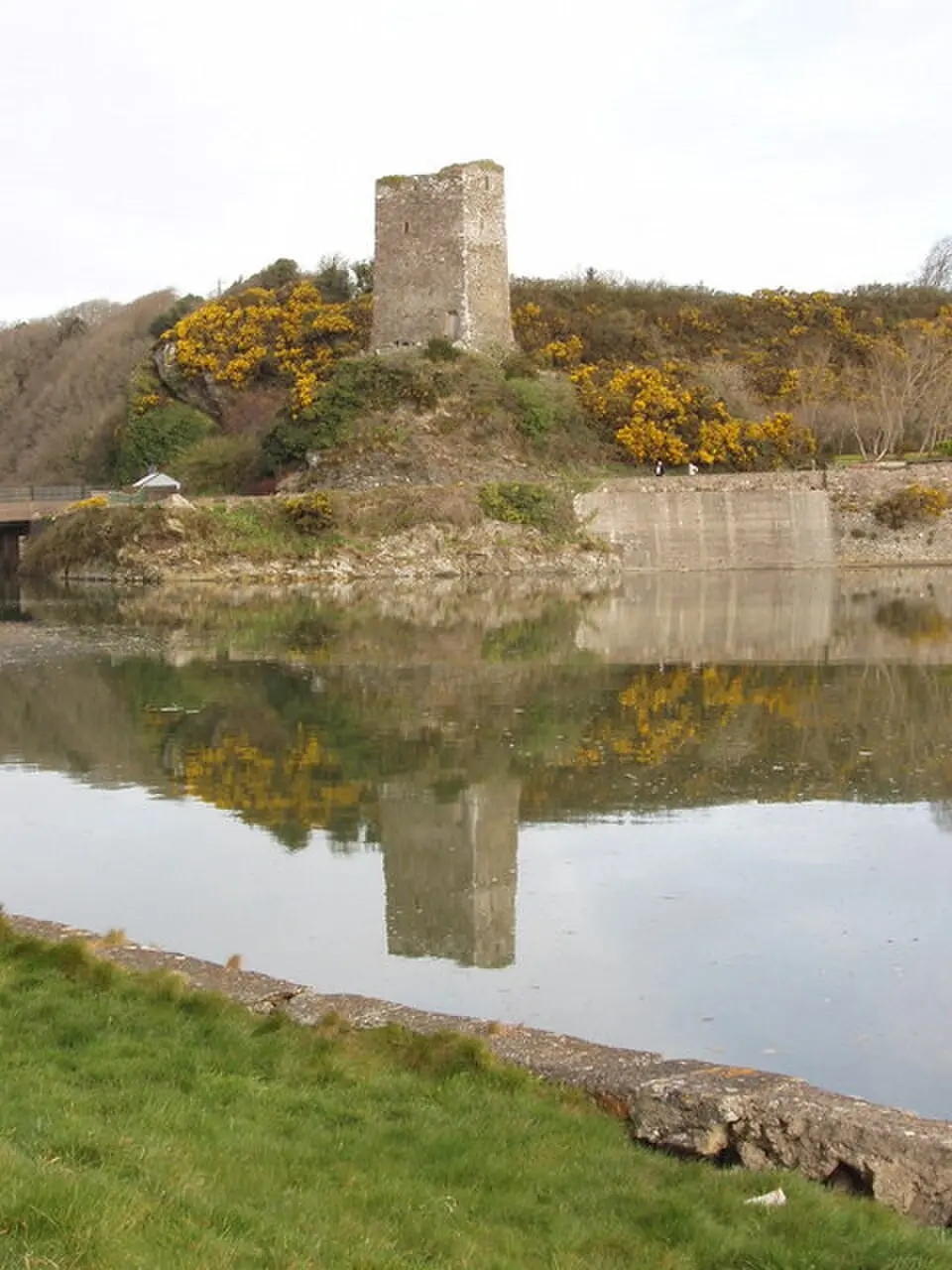 Ferrycarrig Castle