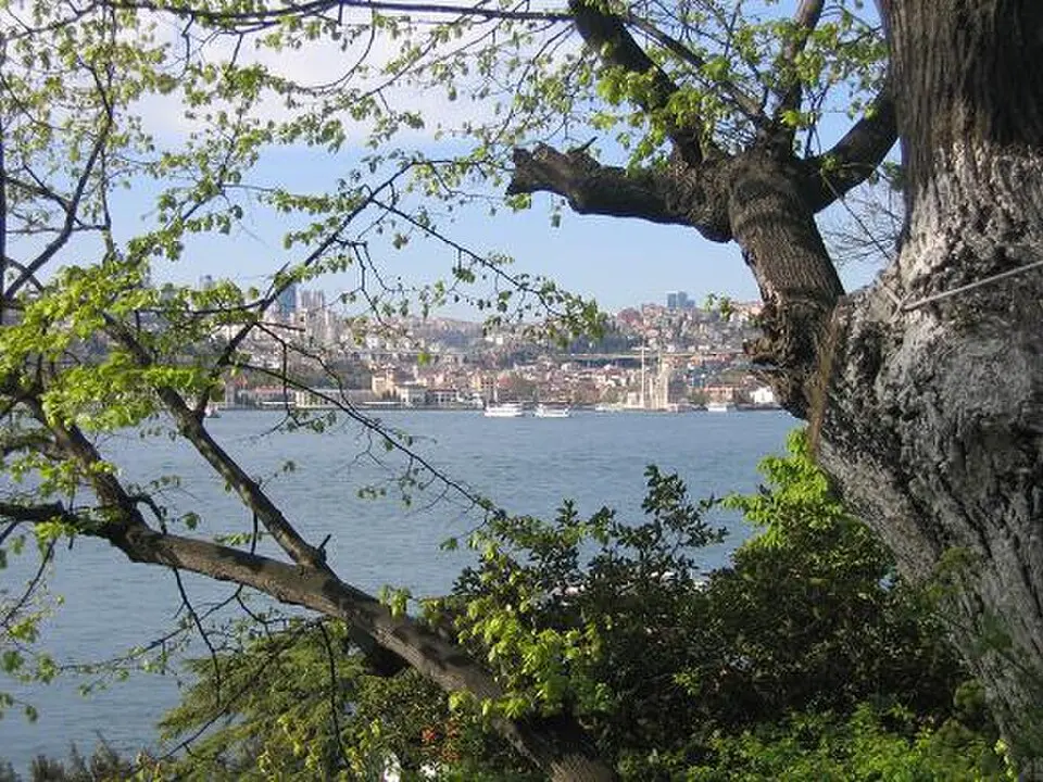 Fethi Paşa Korusu