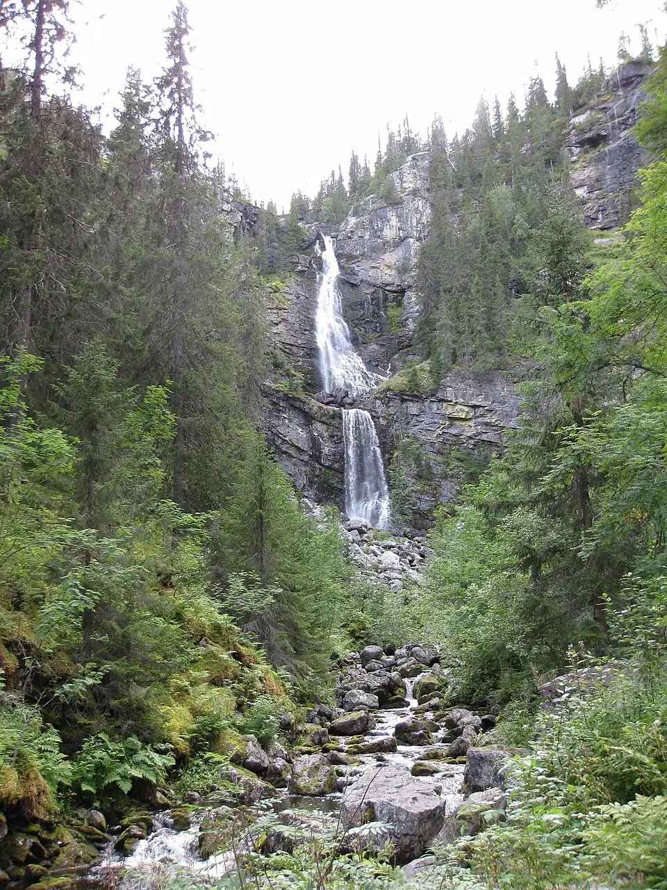 Fettjeåfallet