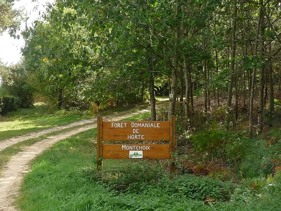 Forêt d’Horte