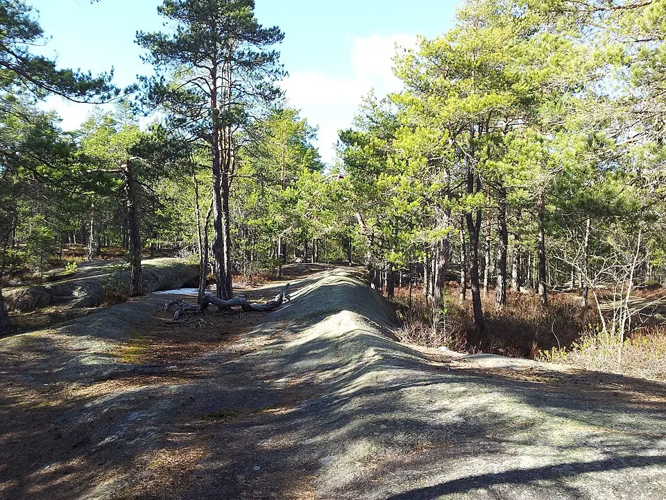 Fiby urskogs naturreservat