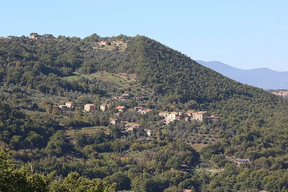Olevole