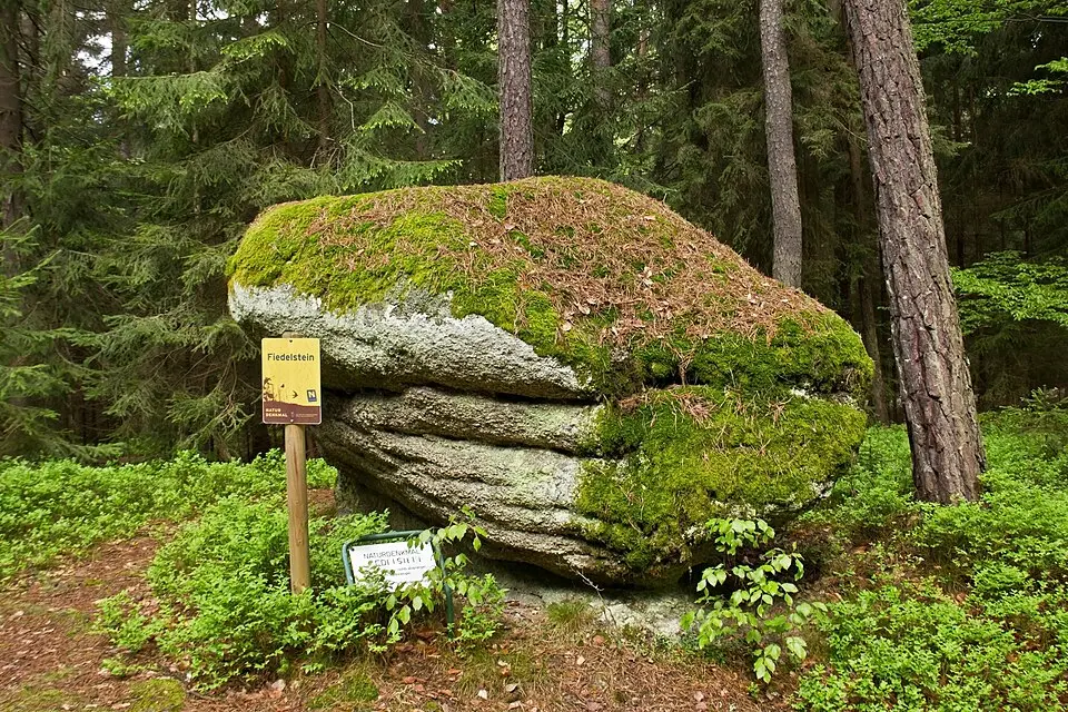 Fiedelstein