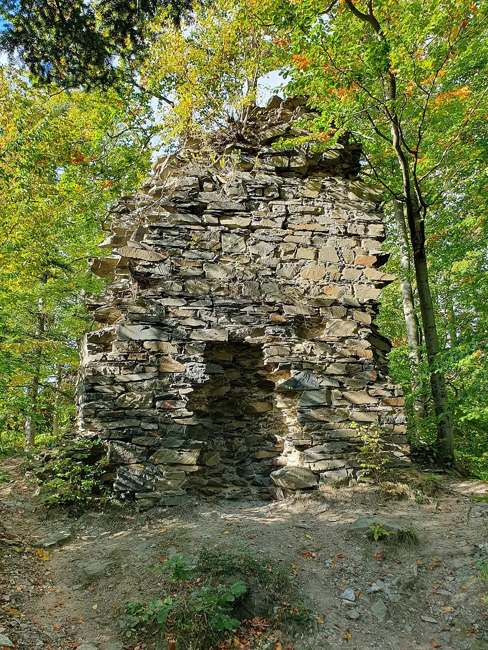 Burg Puchart