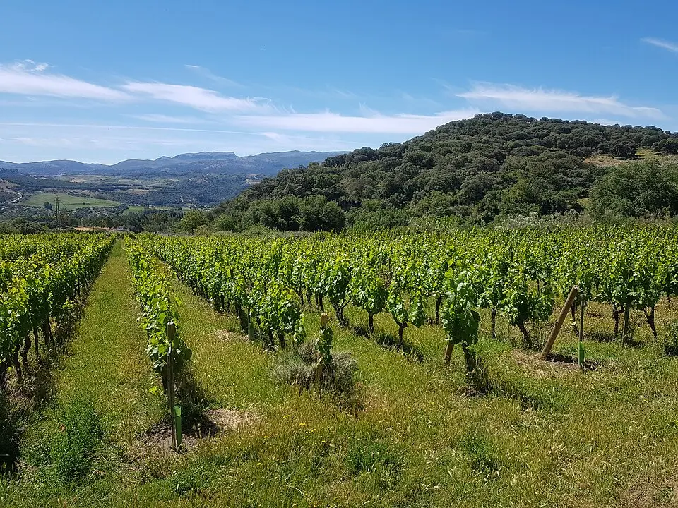 Sierras de Málaga